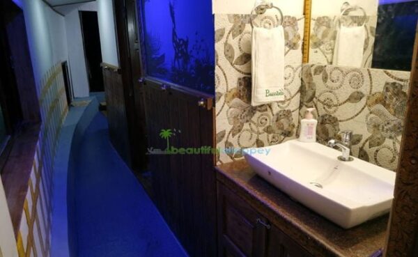 Two Bedroom Premium Houseboat BGRN02 - Image 3
