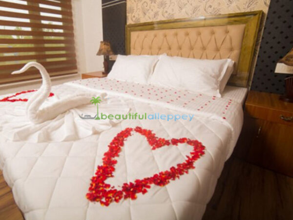 Houseboat in Alleppey 4 bedroom